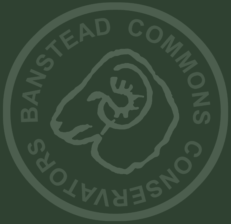 Banstead Commons